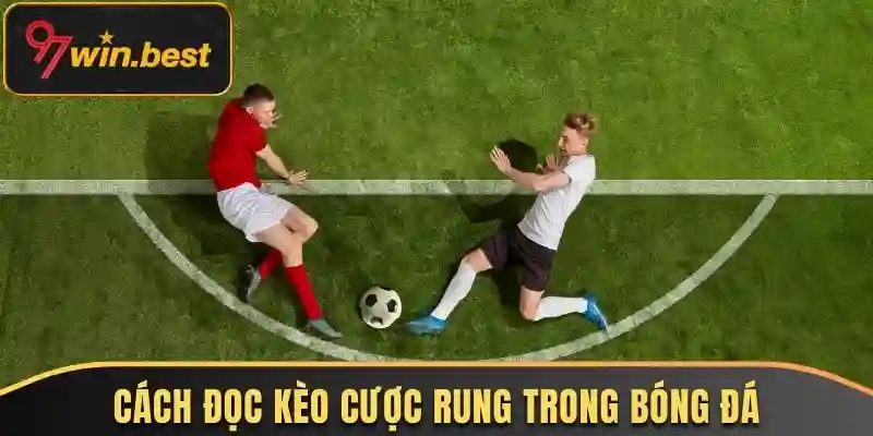 Nắm bắt cách đọc kèo rung trong cá độ bóng đá