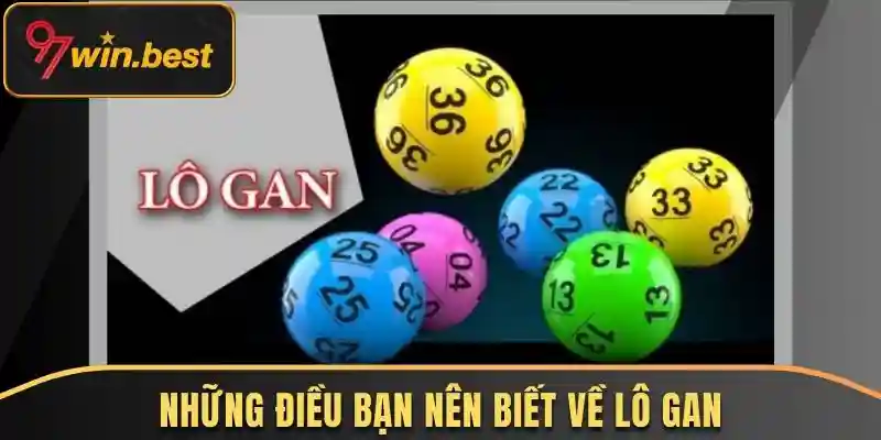 Những điều bạn nên biết về lô gan